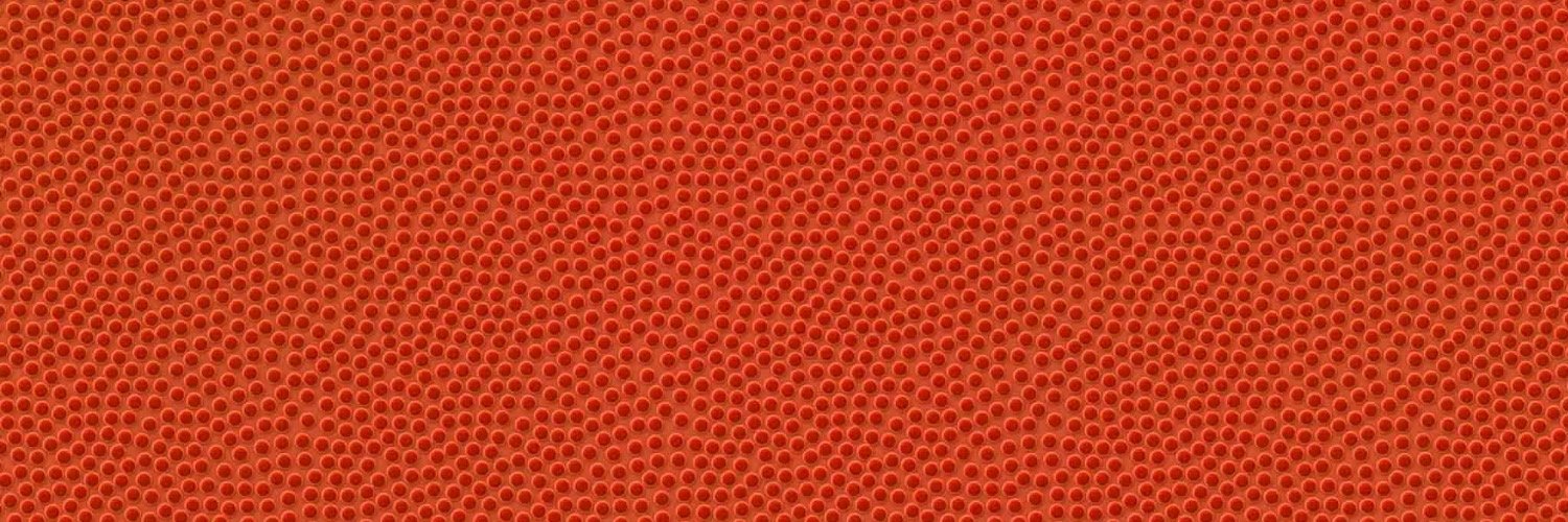 SilverRubicon banner