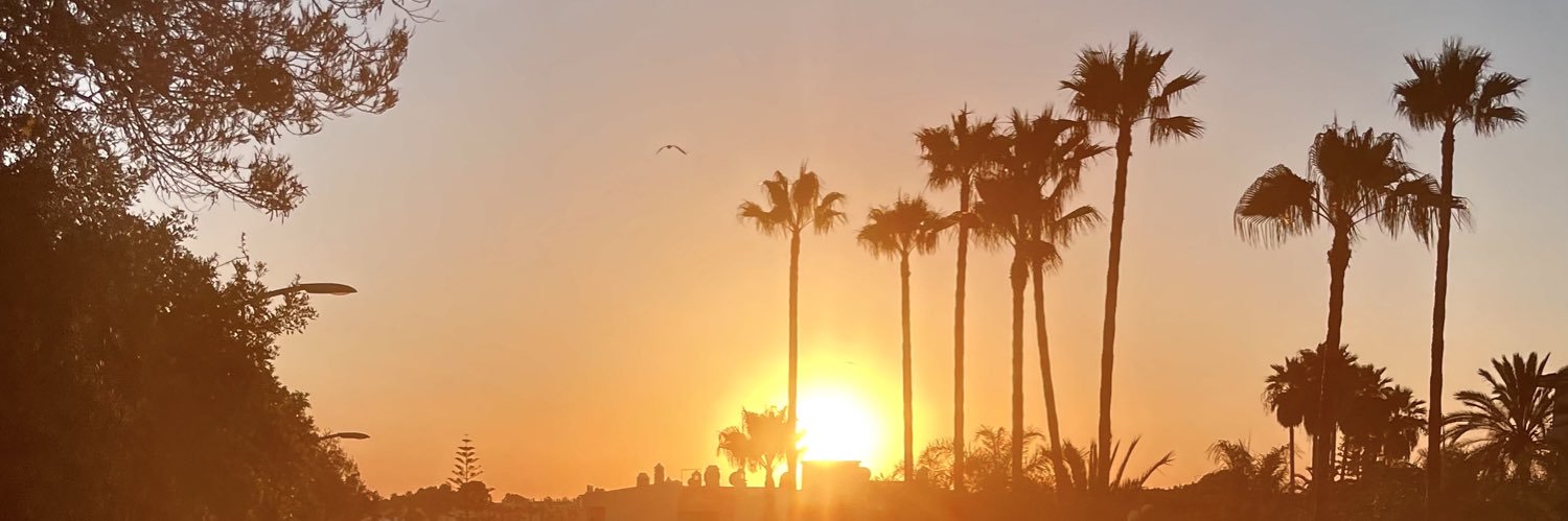 hayleymcdaid's profile banner image