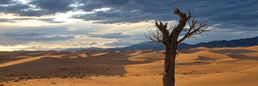 Fudlet Points banner