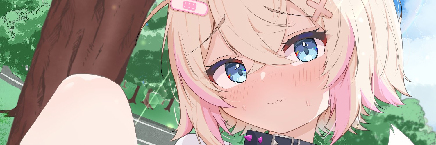 (錦木)すいか@skeb募集中's banner