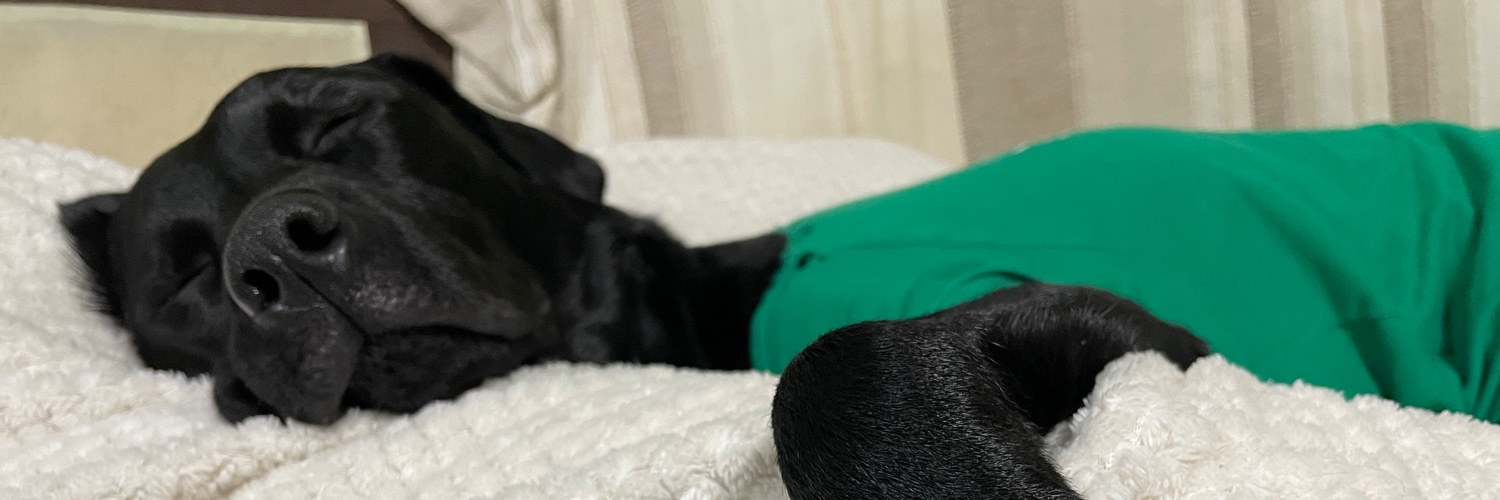 Dsaekrn's profile banner image