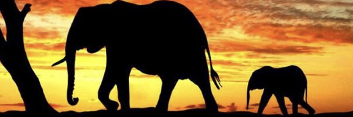 WRFraser5's profile banner image