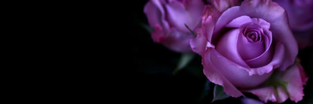 Pathydear's profile banner image