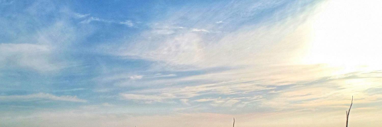 calvinsurya's profile banner image