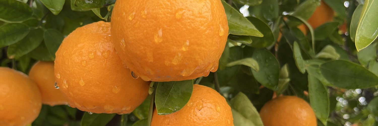 Devin Kate Pope banner