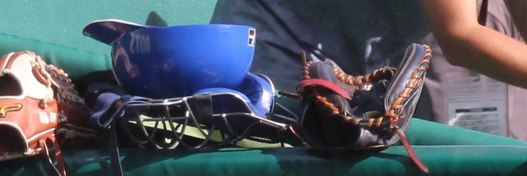 ふーさん banner