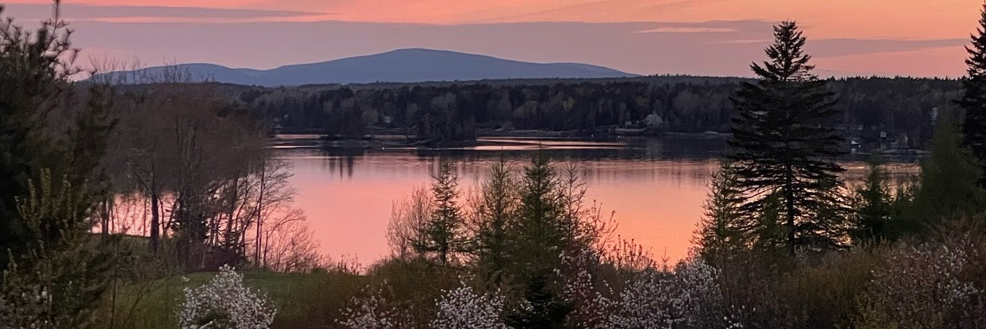 normavela☮️🇺🇸💙 banner