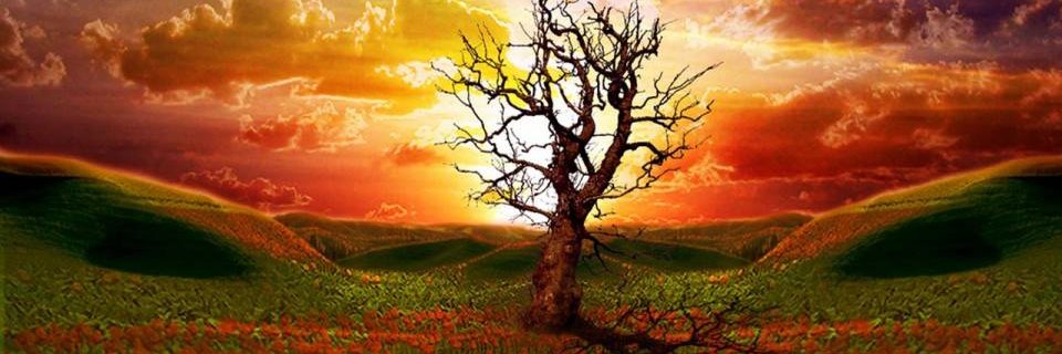 JosePS32010's profile banner image