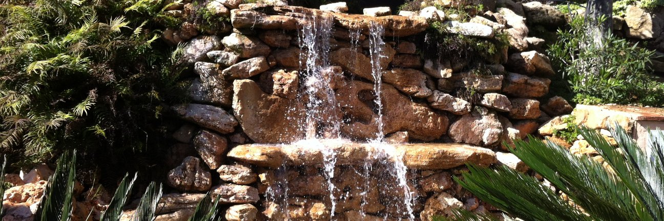 Gloria Dowling banner