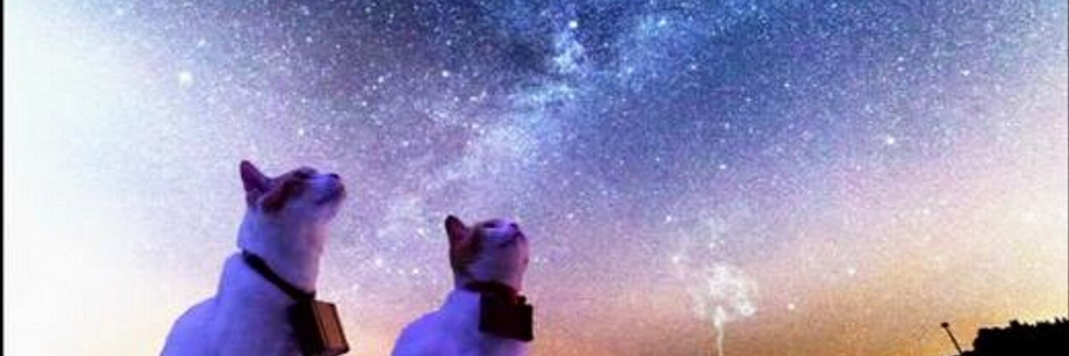 6mix banner