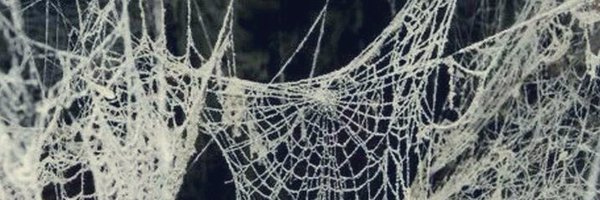 LEWISLIGHTWO0DS Profile Banner