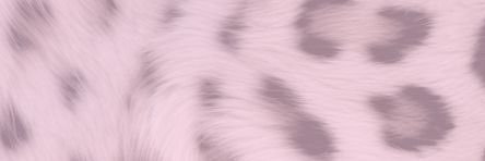 단추 banner