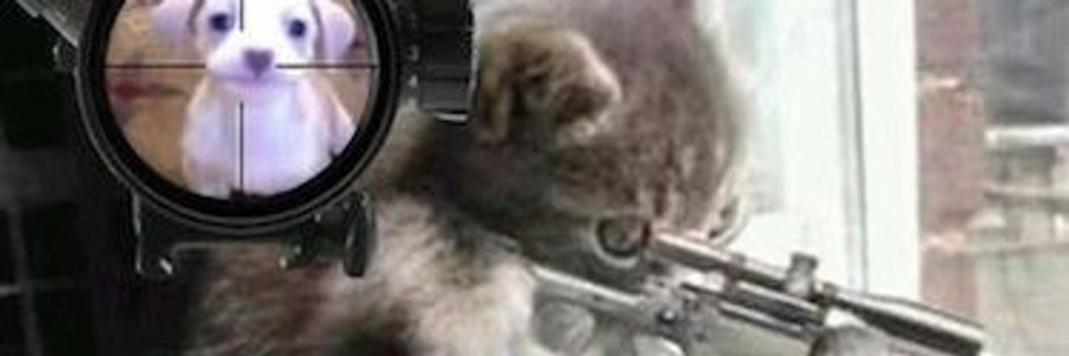 cat_ashly_'s profile banner image