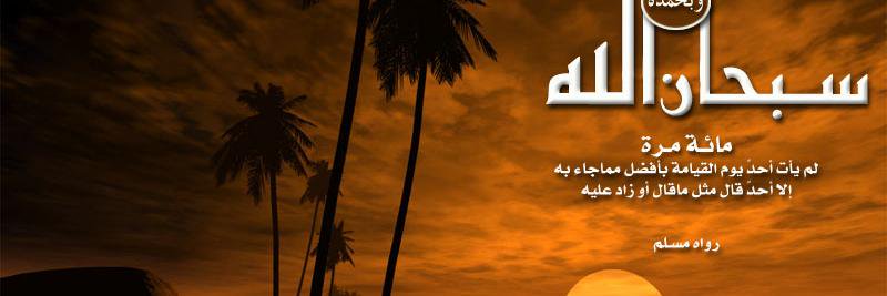 morwangabr's profile banner image