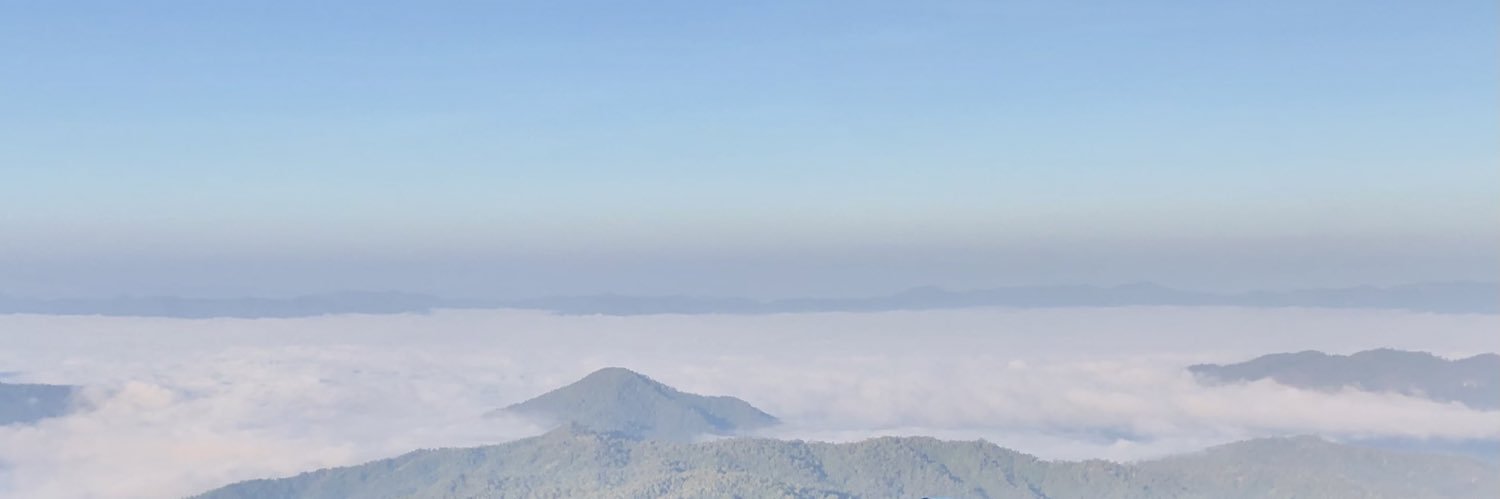 🐒M banner