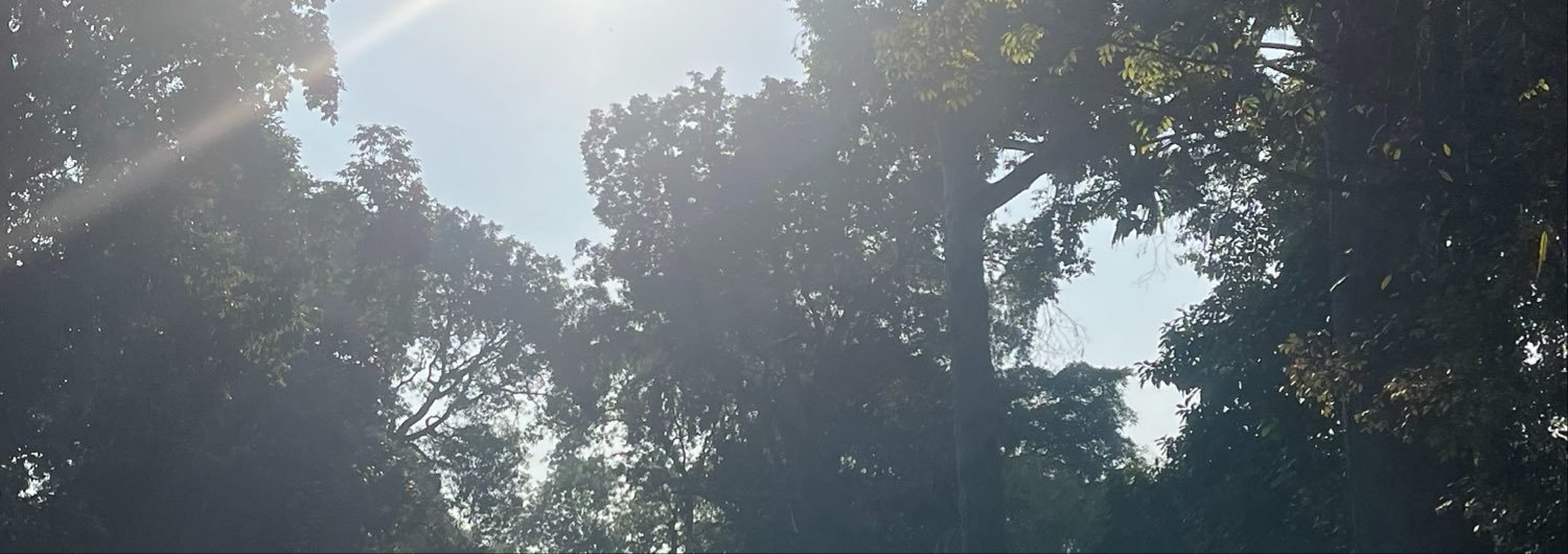 goricegoshine's profile banner image