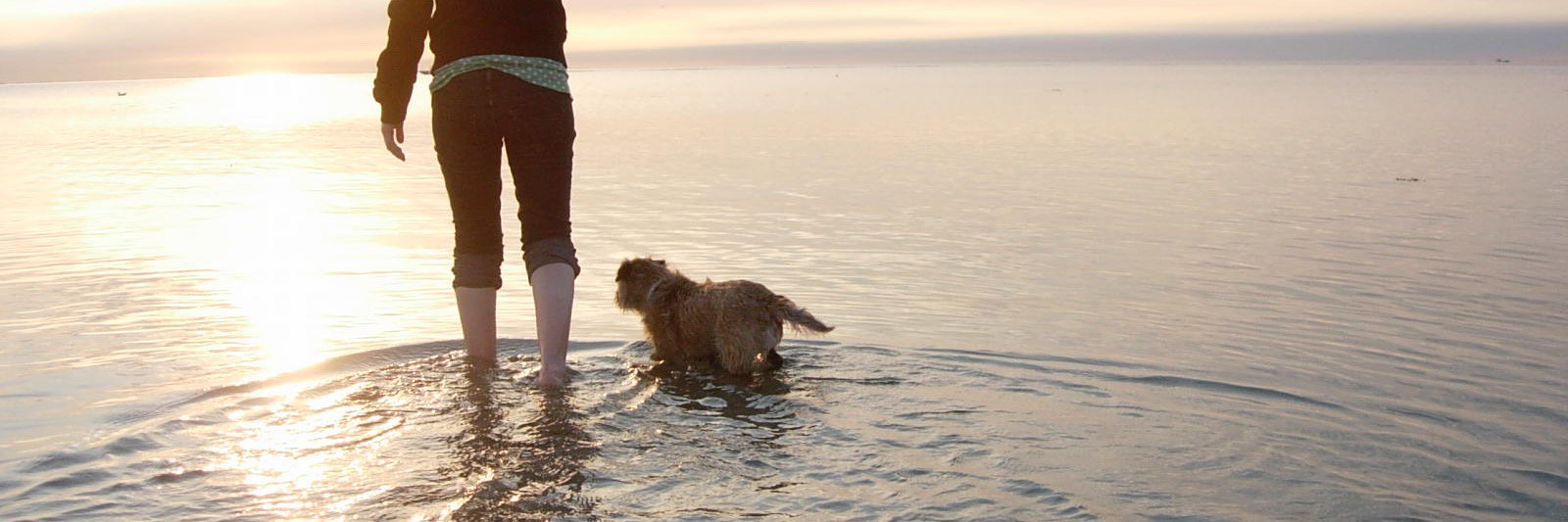 Anette Sandström banner