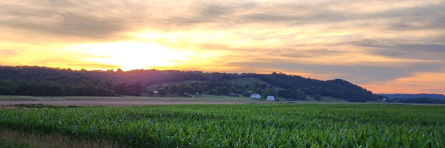 TheRealSleppy's profile banner image
