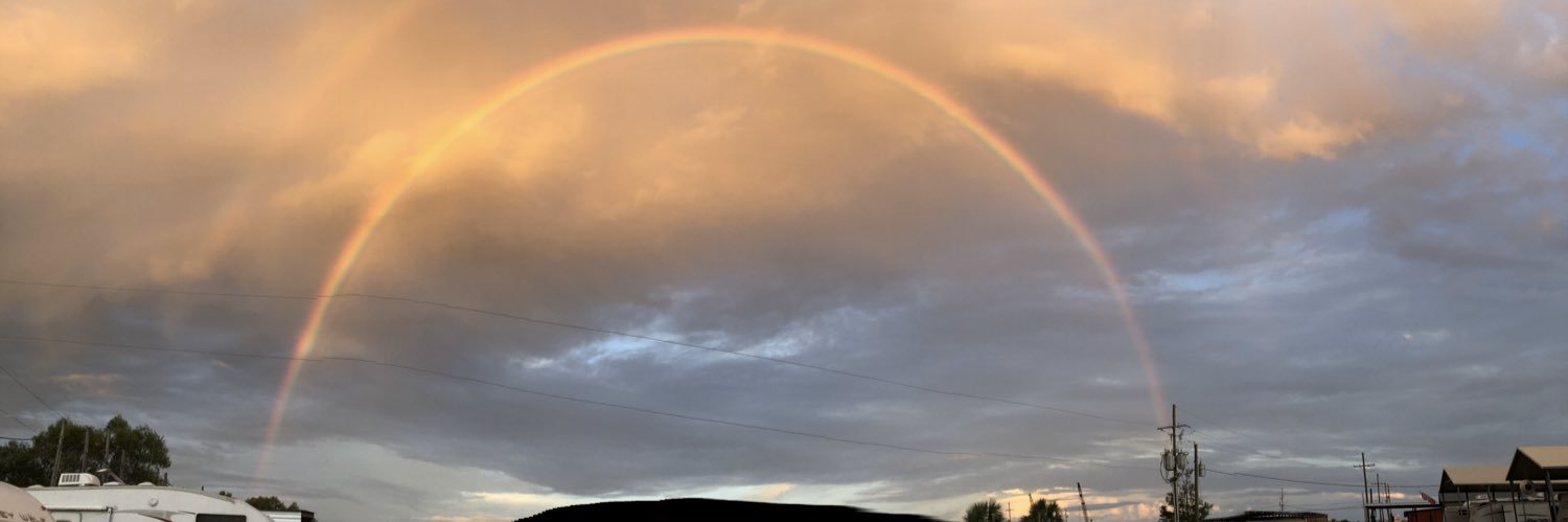 SusanSaintsFan's profile banner image