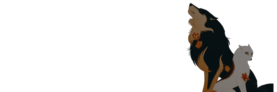 ‍ ‍ ‍ ‍ ‍ ‍ ‍ 𝓕 αѕнι𖦹η ៵ 𝓓єѕιgηєr ⸒ 〞‍ ‍ ‍ ‍ banner