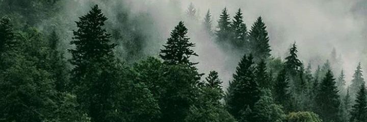 an_nisa3's profile banner image