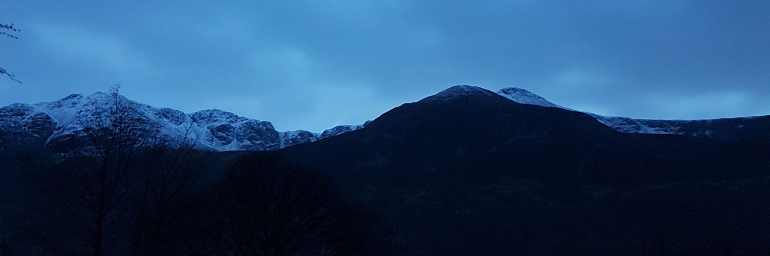 zeromossygood's profile banner image