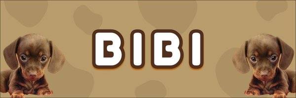 Bibion_solana Profile Banner