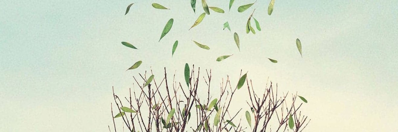 Doug_Ataide's profile banner image