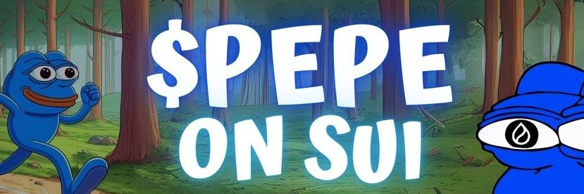 The 1st $PEPE on $SUI's PUMP MOVE banner