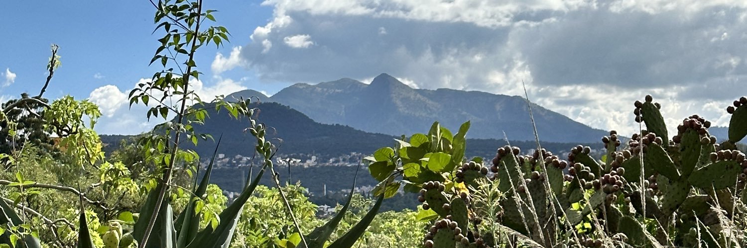 ISTrujillo's profile banner image