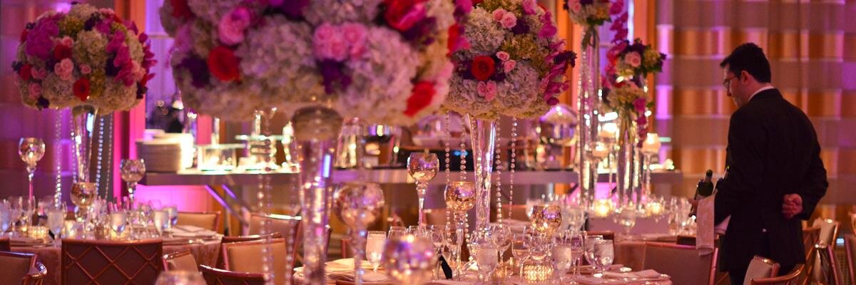 dwilliamspr's profile banner image