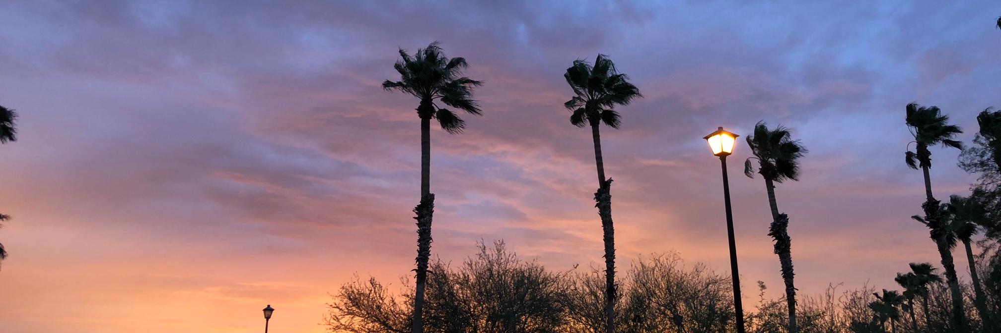 Kevin Hillstrom banner