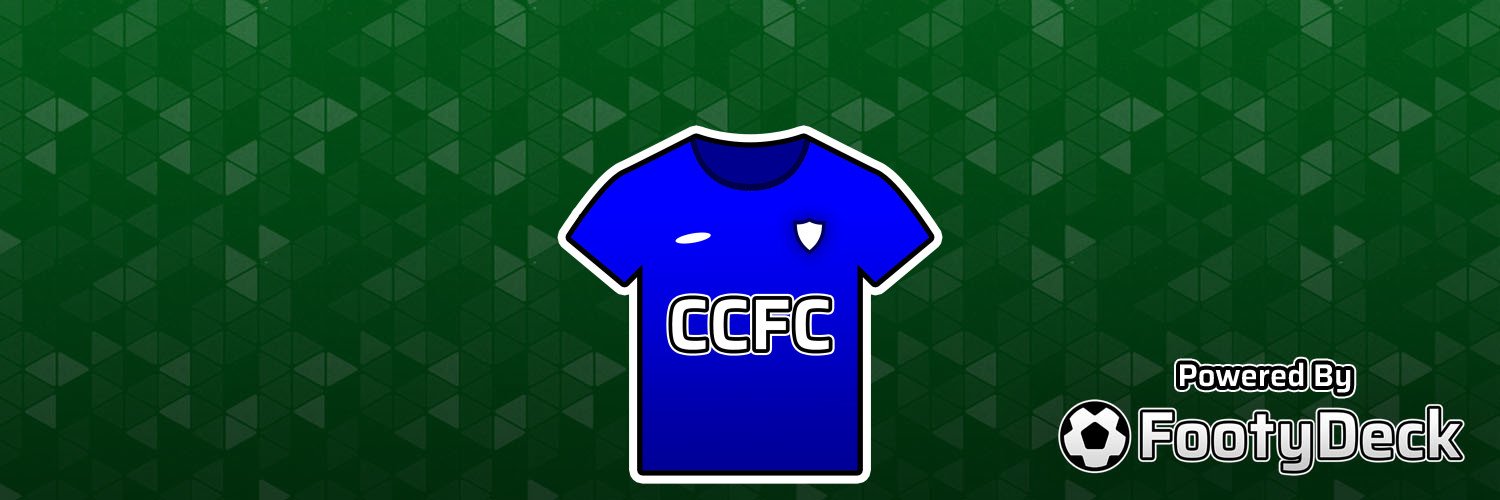 Cardiff City banner