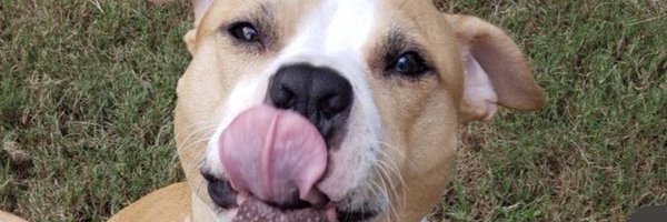 _KayyHarvey Profile Banner