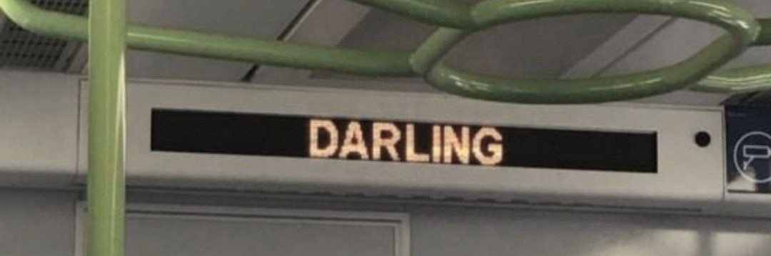 rine banner
