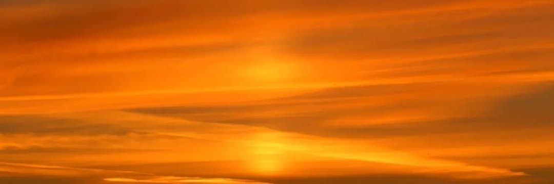 Wild Nature's banner