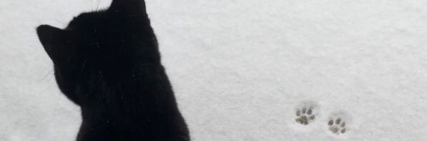 🍡 banner