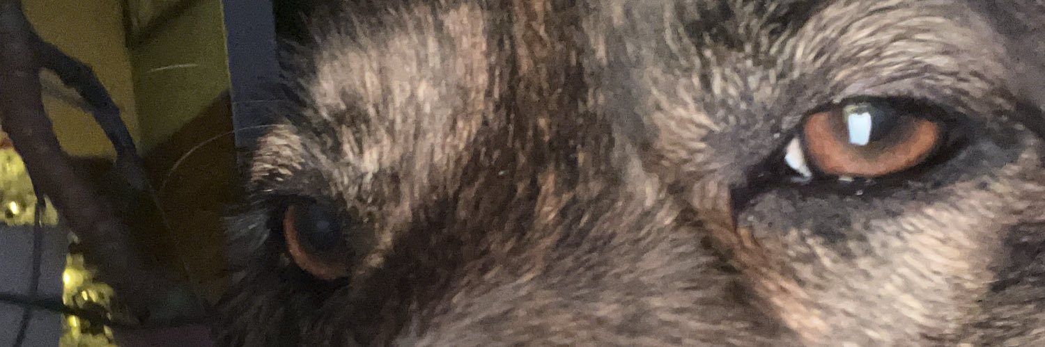 Liam846641's profile banner image