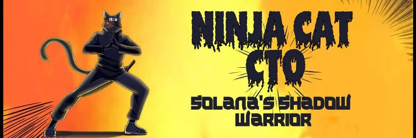 Ninja Cat CTO - $NC's banner