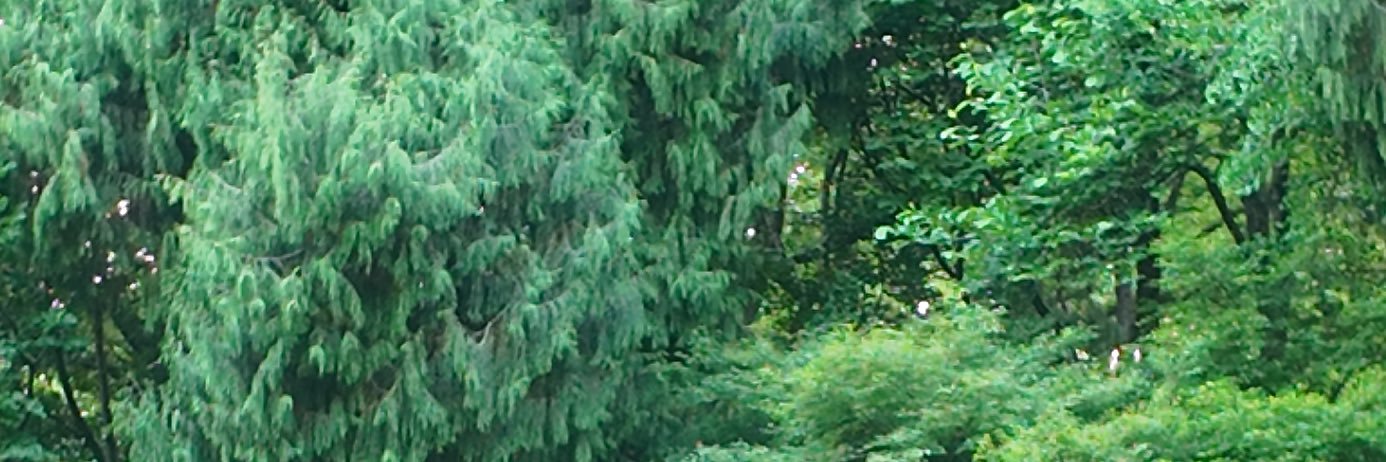 mixkska's profile banner image