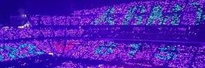 sovsemneangel's profile banner image