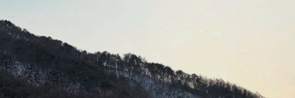 wafernice03 Profile Banner