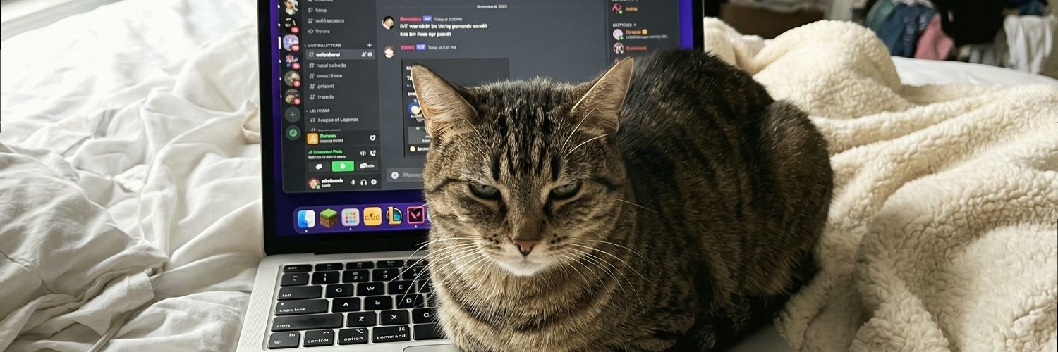 sofiefern237's profile banner image