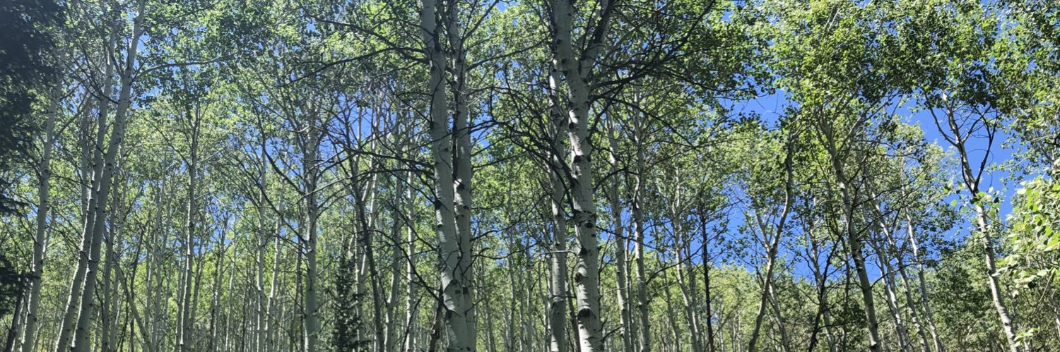 Clancy J. Clark MD banner