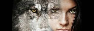Parva luna banner