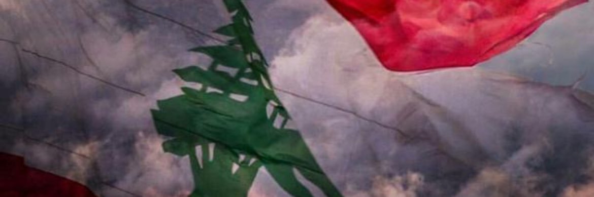 صفية banner