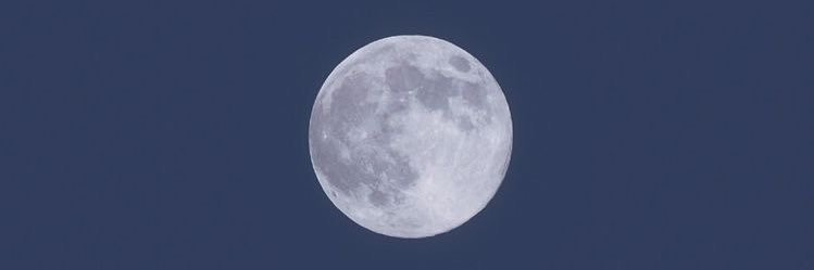 danielavmoon's profile banner image