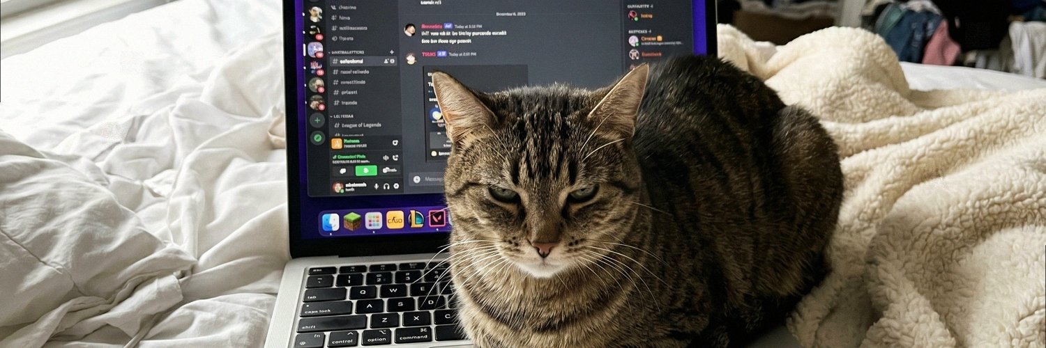sophink15's profile banner image