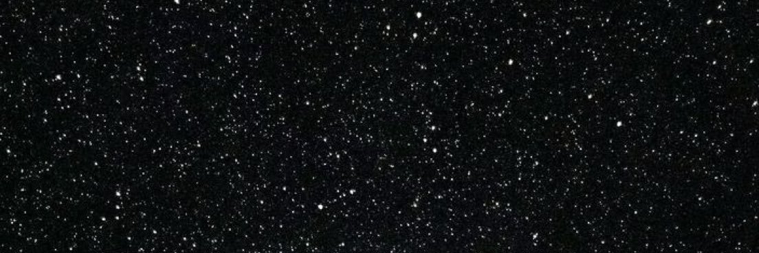 🐼 banner