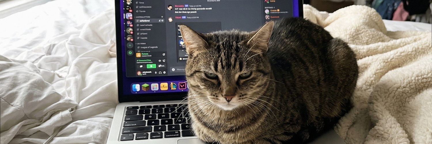 sofstill3's profile banner image